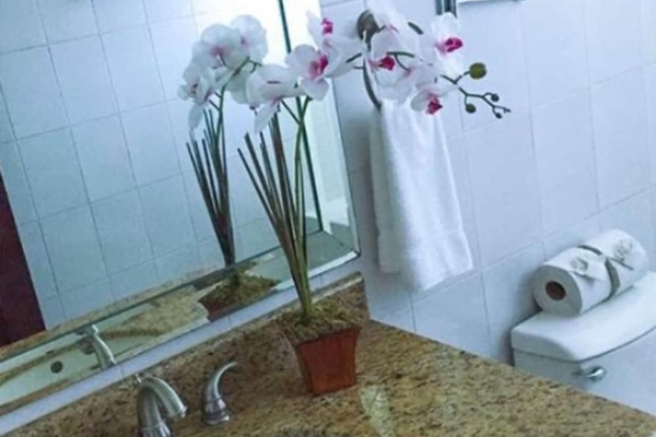 Hotel Telamar Resort